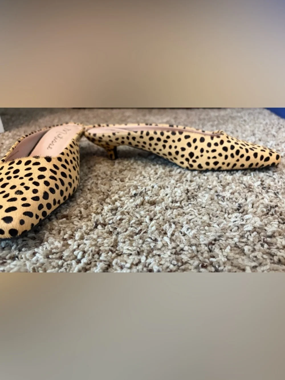 Matisse Cheetah Print Square-Toe Kitten Heel Mule - Picture 4 of 5